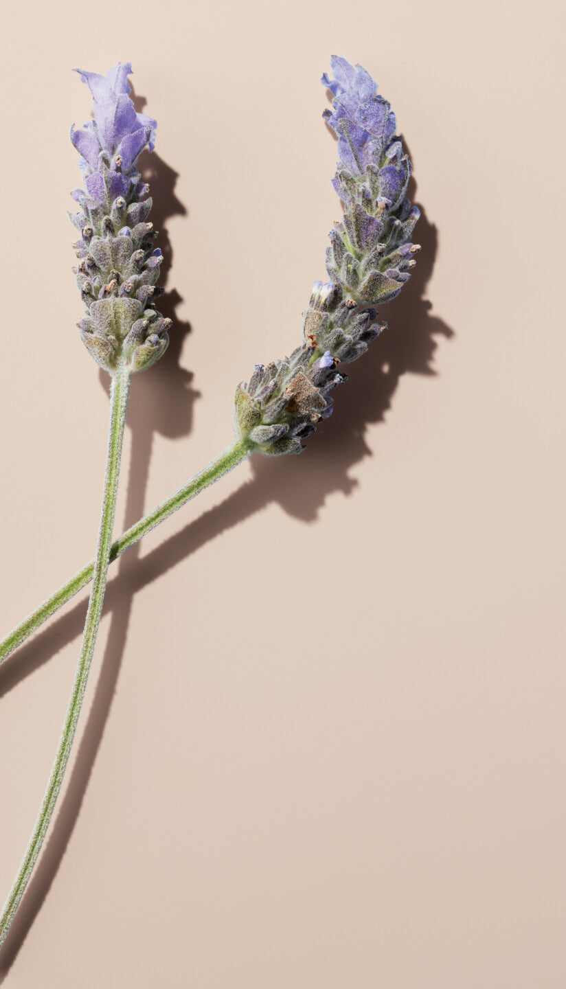 Our packaging isn't perfect but we're committed to making improvements. In 2021 we switched many of our products from plastic to glass (an endlessly recyclable material), and we've introduced PCR (post-consumer plastic) for our tubes. Our focus on this is simple: to help close the loop on packaging. No complicated or time-consuming recycling schemes.