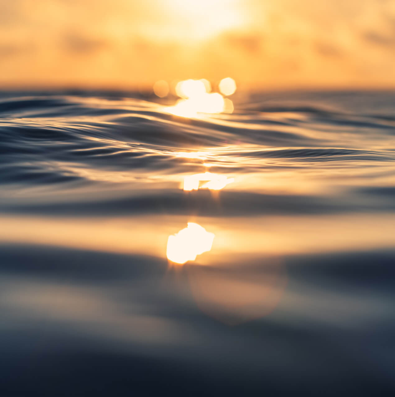 Our products have been globally recognised for being ocean friendly, reef-safe, and biodegradable. What can we say, it's a sign of the tides.