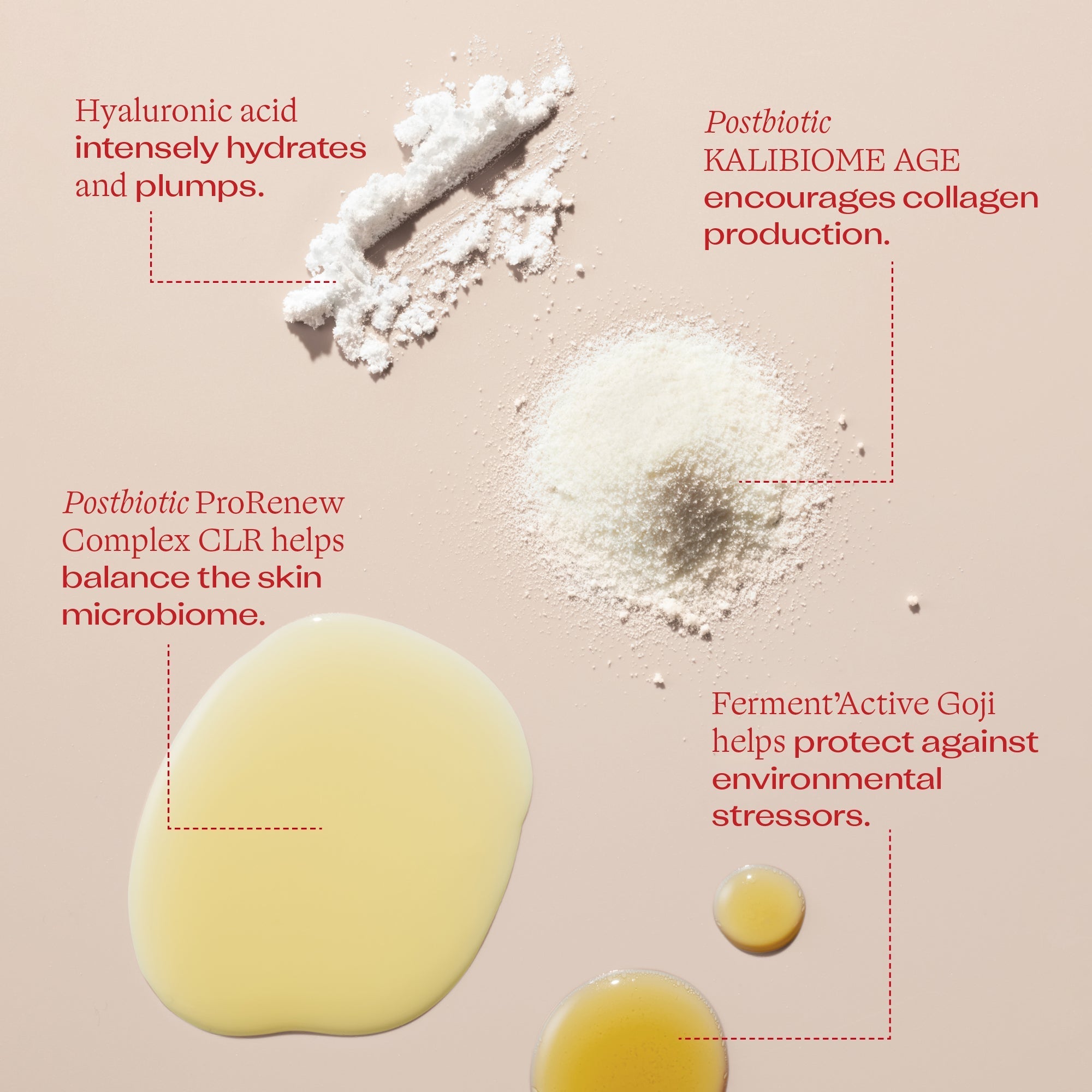 Microbiome Complexion Renew Serum benefits - hyaluronic acid intensely hydrates and plumps, kalibiome age encourages collagen production, complex clc helps balance the skin microbiome, ferment'active goji helps protect against environmental stressors.