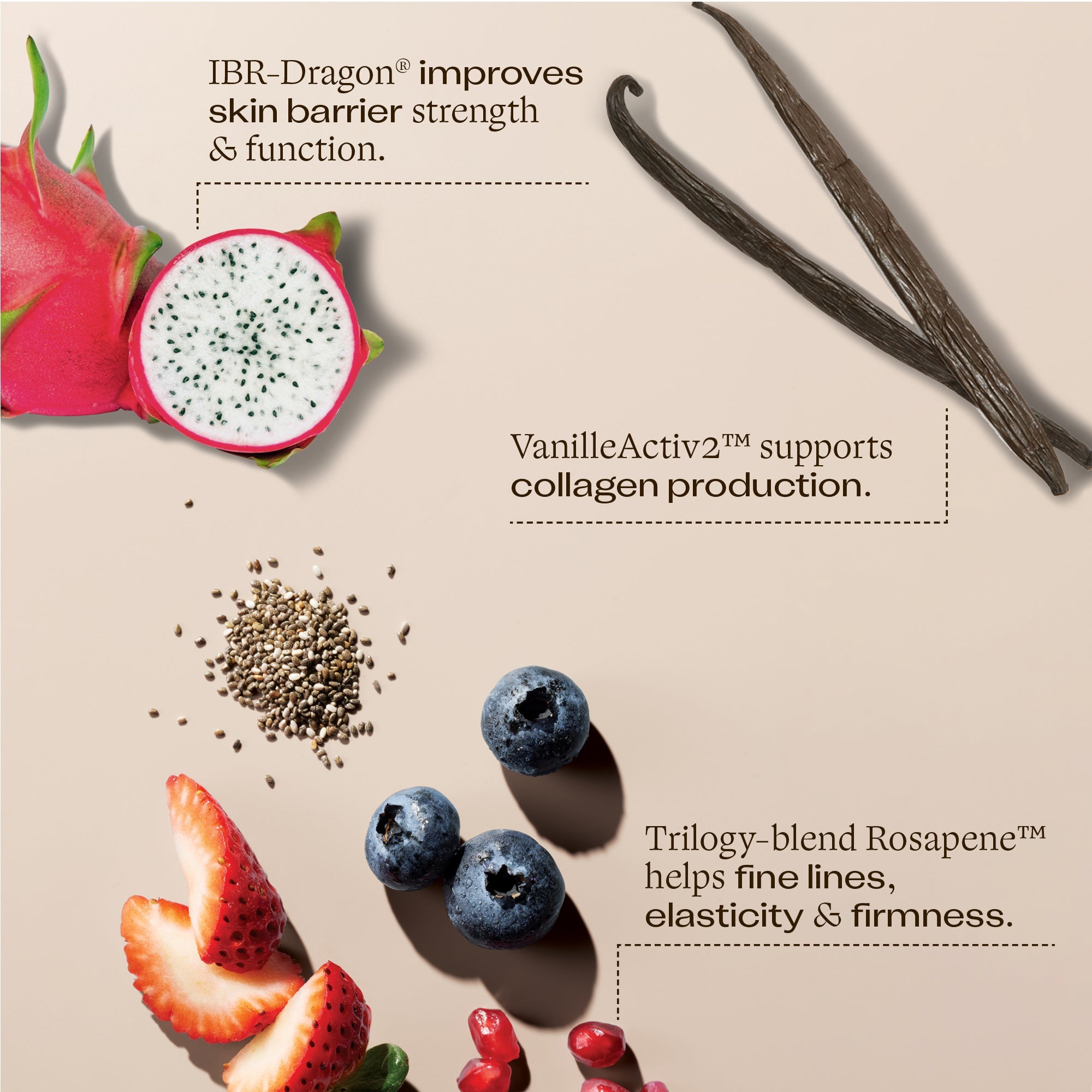 Vital Moisturising Cream ingredient and benefits. IBR-Dragon® improves skin barrier strength & function, VanilleActiv2™ supports collagen production & Trilogy-blend Rosapene™ helps fine lines, elasticity & firmness.