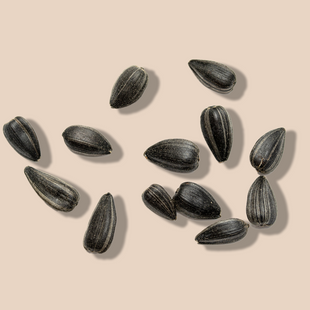 Sunflower Seed Oil