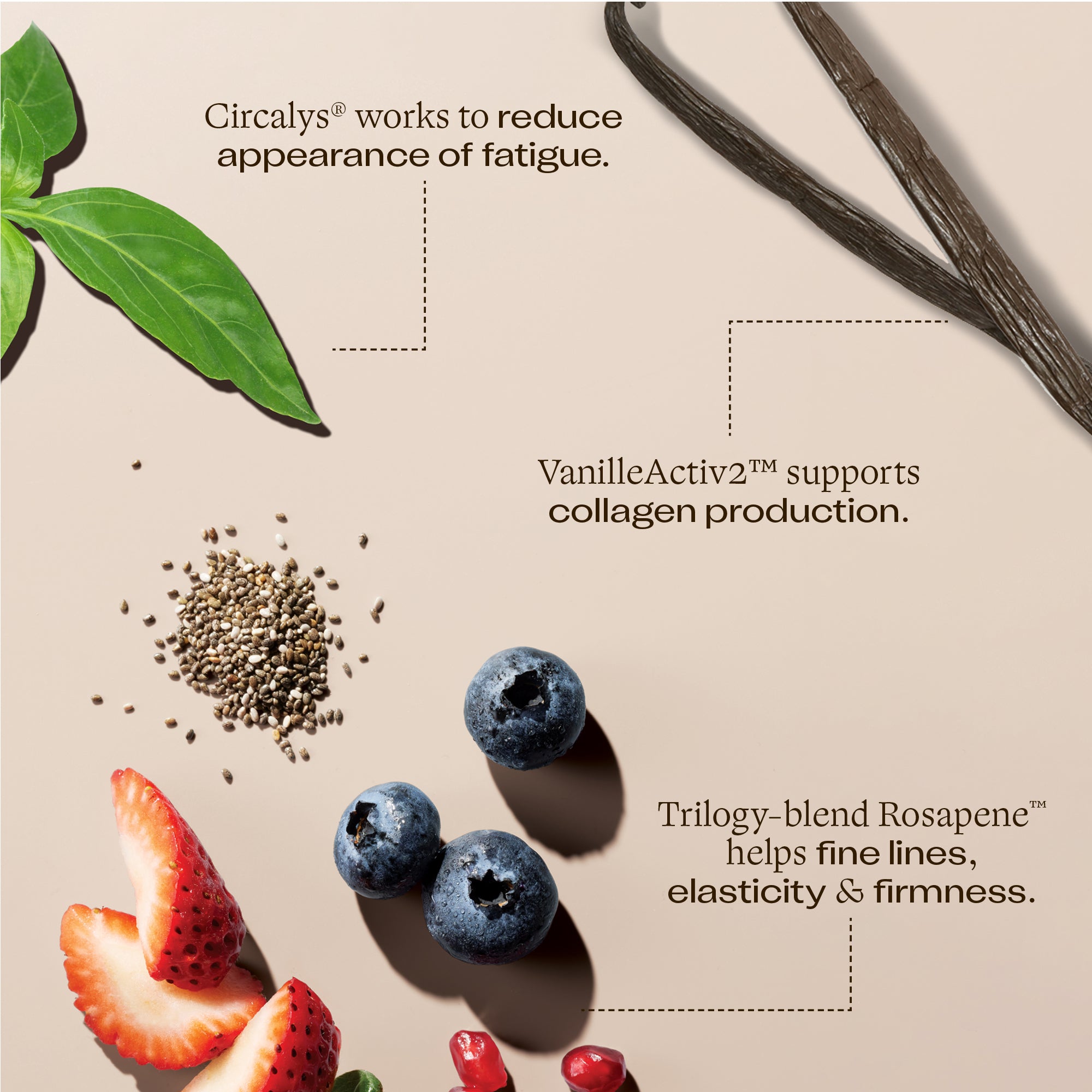 Rosapene™ Night Cream benefits & ingredients - Circalys work to reduce appearance of fatigue, VanilleActiv2™ supports collagen production and Trilogy-blend Rosapene™ helps fine lines and firmness.
