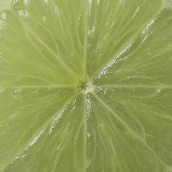 Amla Fruit Extract