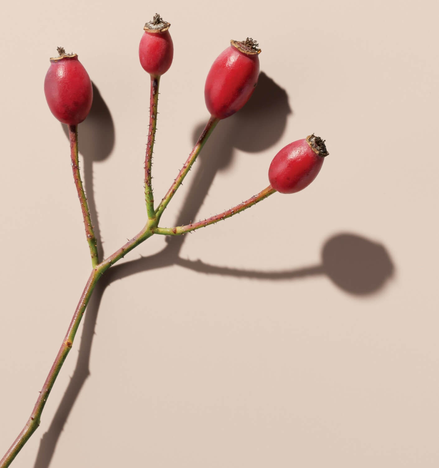 It's important to us that our products do what we say they will; that's why we get third-party labs to carry out independent clinical trials. They provide us with solid, unbiased statistics about our formulations.