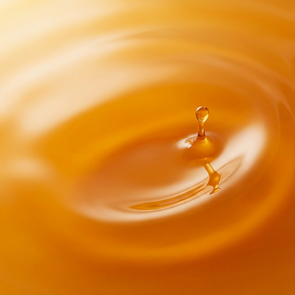 Co-Enzyme Q10 (CoQ10)