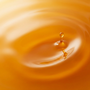 Co-Enzyme Q10 (CoQ10)