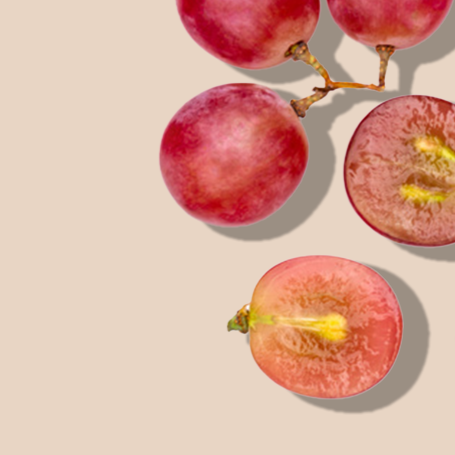 Grape Seed Oil