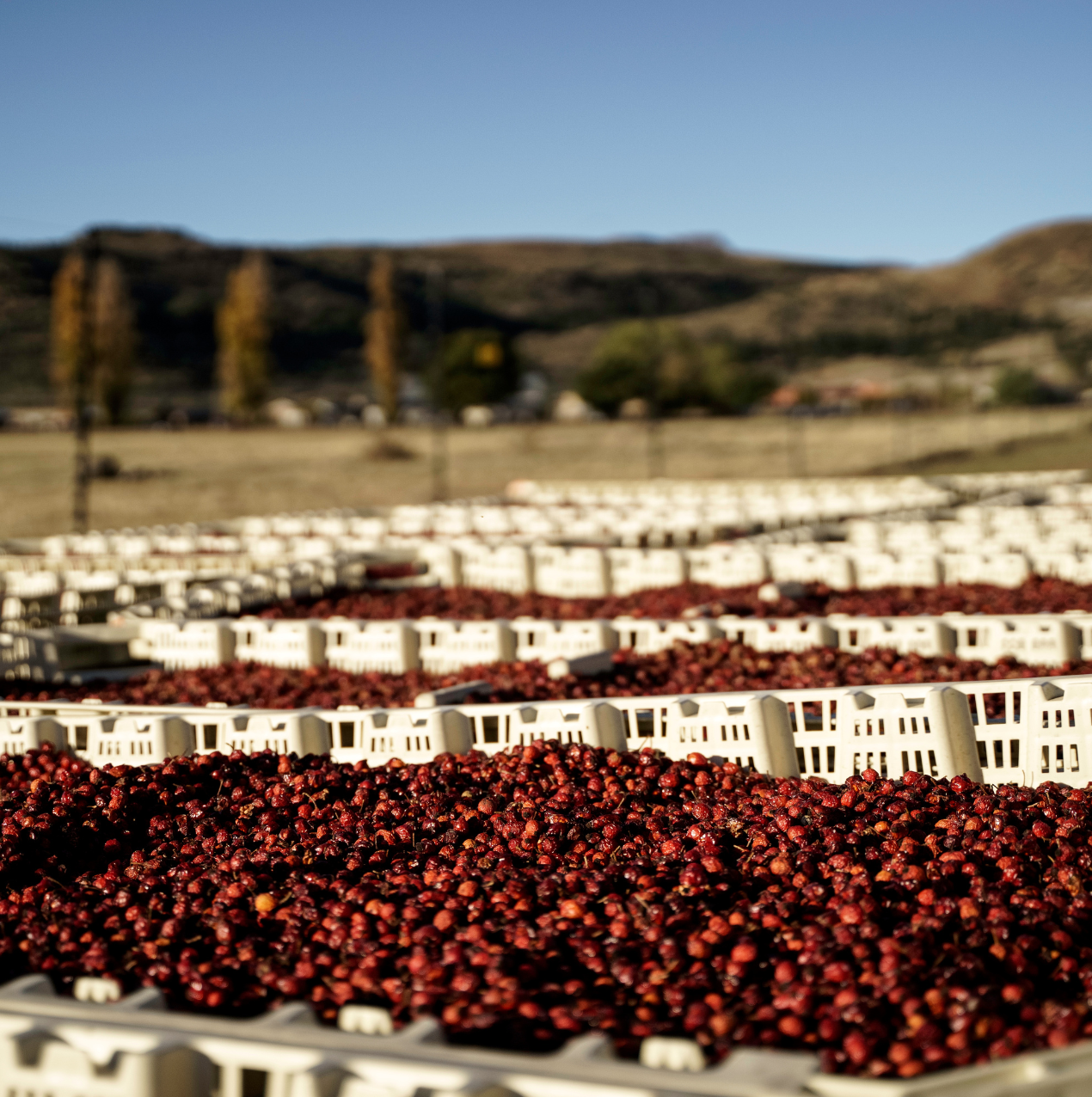 Clean beauty, it’s about more than ingredients.